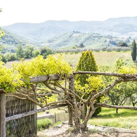 La Sala Farm stay Greve in Chianti