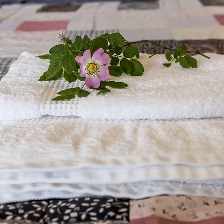 La Sala Κατάλυμα σε φάρμα Greve in Chianti