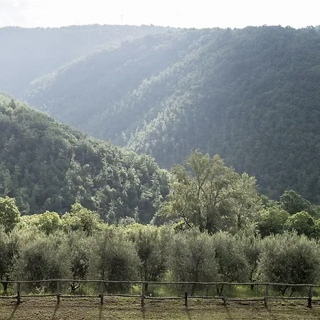La Sala Farm stay Greve in Chianti